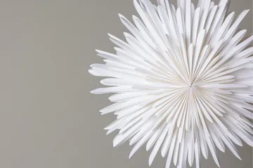 Sälen Adventsstjärna / Jullampa 60 cm - Vit - Products - Belysning - Julbelysning - Adventsstjärna