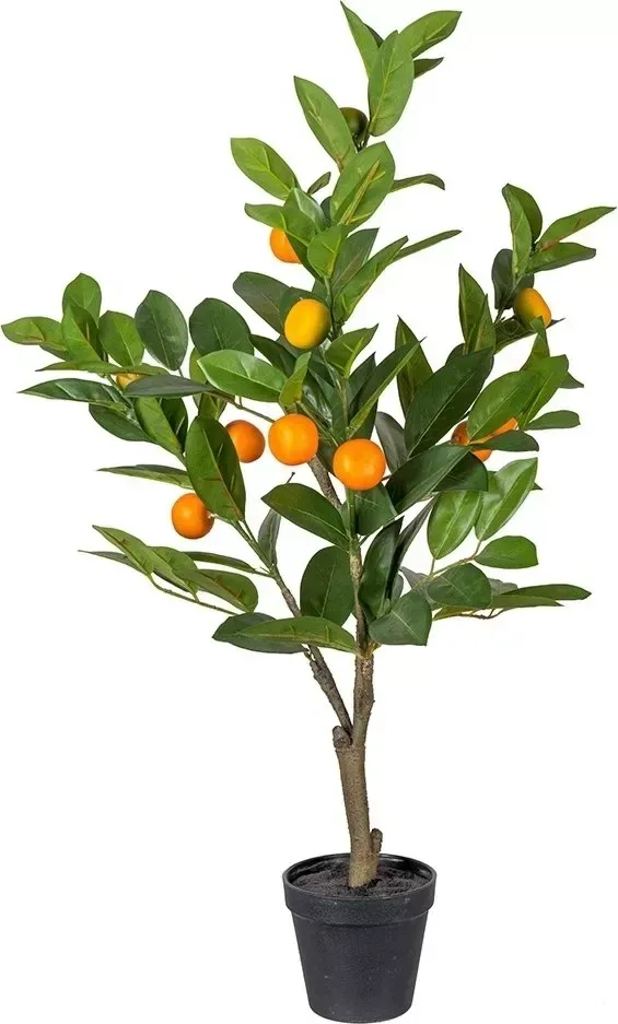 Citrus konstväxt, grön/orange