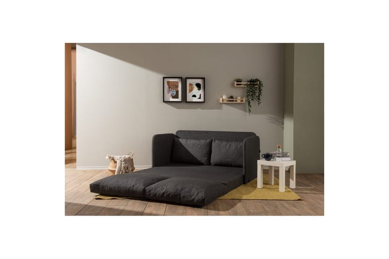 2-sits bäddsoffa Rubby (148 x 70 x 66 cm) Mörkgrå - Mörkgrå - Products - Möbler - Soffa - Bäddsoffa - 2 sits bäddsoffa
