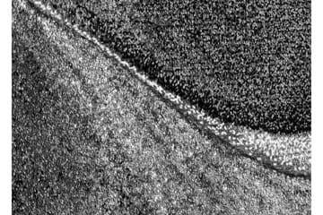 Brilliance Volante Friezematta 80x250 - Grå - Products - Textil & mattor - Matta - Modern matta - Wiltonmatta