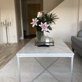 Kundebillede Maryland sofabord 110 - Hvid marmor