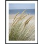 Posterworld - Motiv Windy Beach - 50 x 70 cm