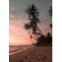 Plakat - Sommer - 21x30