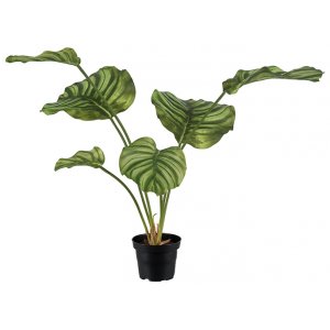 Calathea kunstig plante