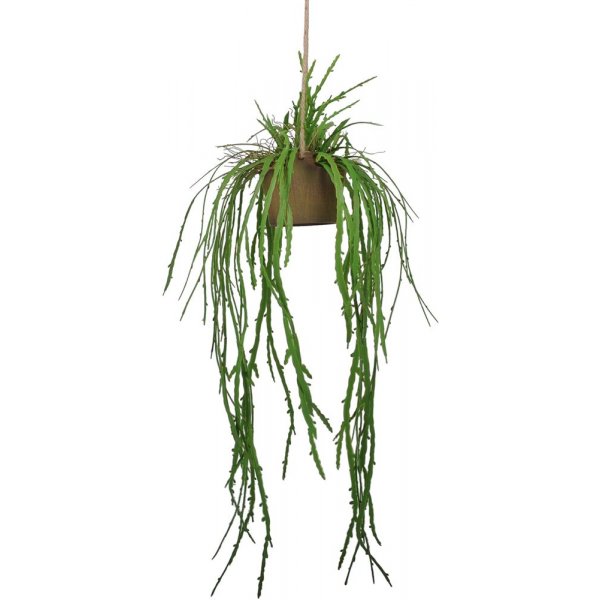 Verde hngende plante