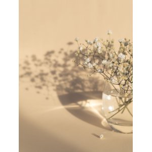 Plakat - hvide blomster