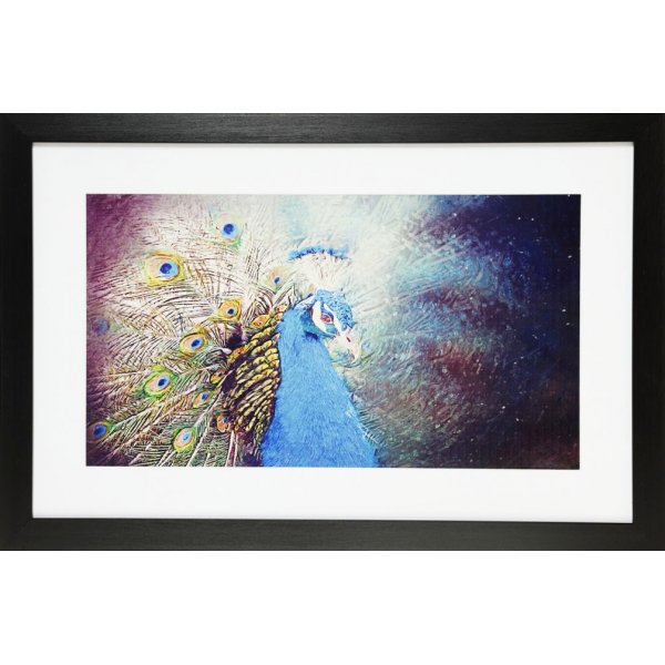 Maleri med sort ramme (pfugl) - 40x100 cm