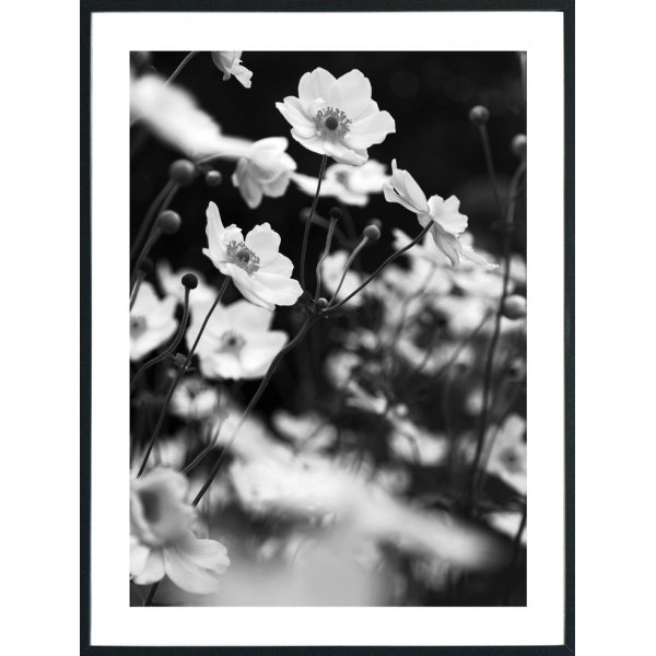 Posterworld - Motiv Lilly - 70 x 100 cm