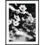Posterworld - Motiv Lilly - 70 x 100 cm