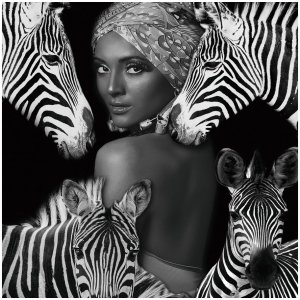Glasmaleri - Zebra Queen - 120x120 cm
