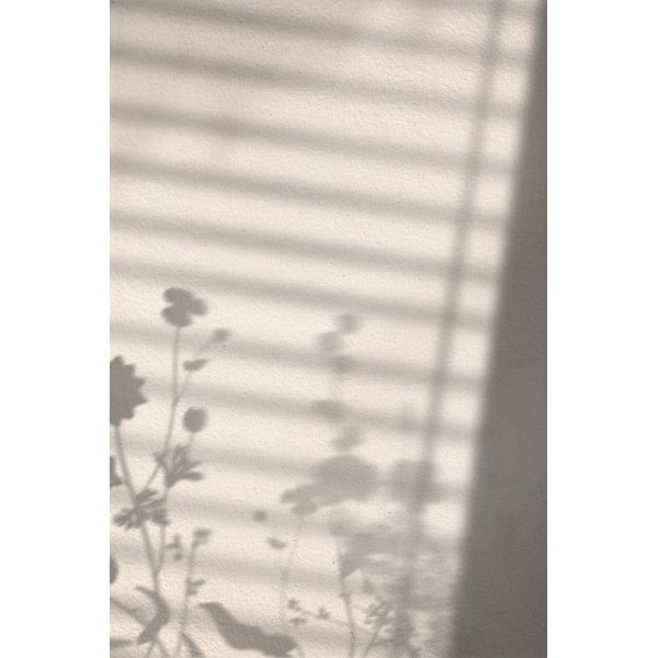 Plakat - Blomsterskygge