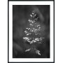 Posterworld - Motivgrs - 70 x 100 cm