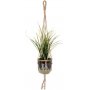 Chennai reb til ampel vase - Nature