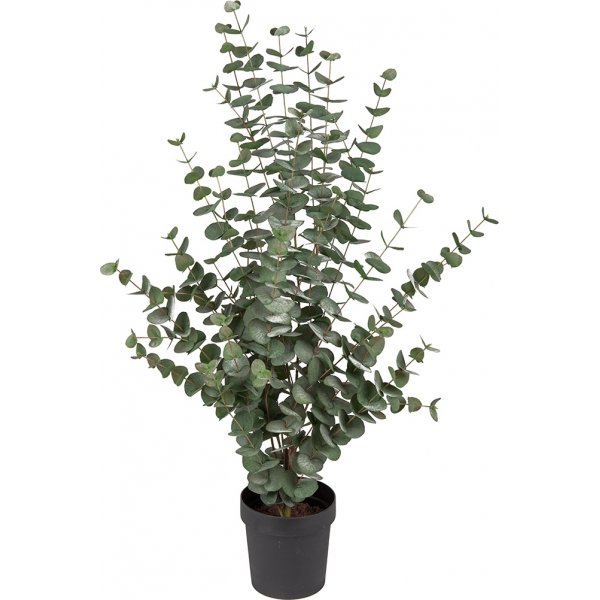 Eucalyptus kunstig plante