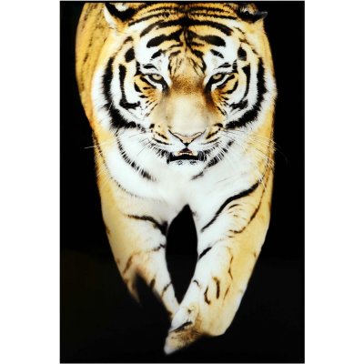 Glasmaleri - Tiger - 120x80 cm