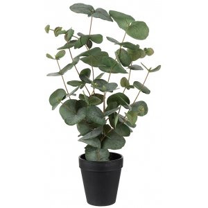 Eucalyptus kunstig plante